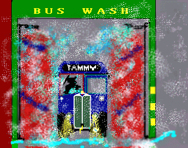 The Bus Wash