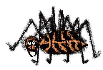 A BIG H-H-H-HAIRY SPIDER !!